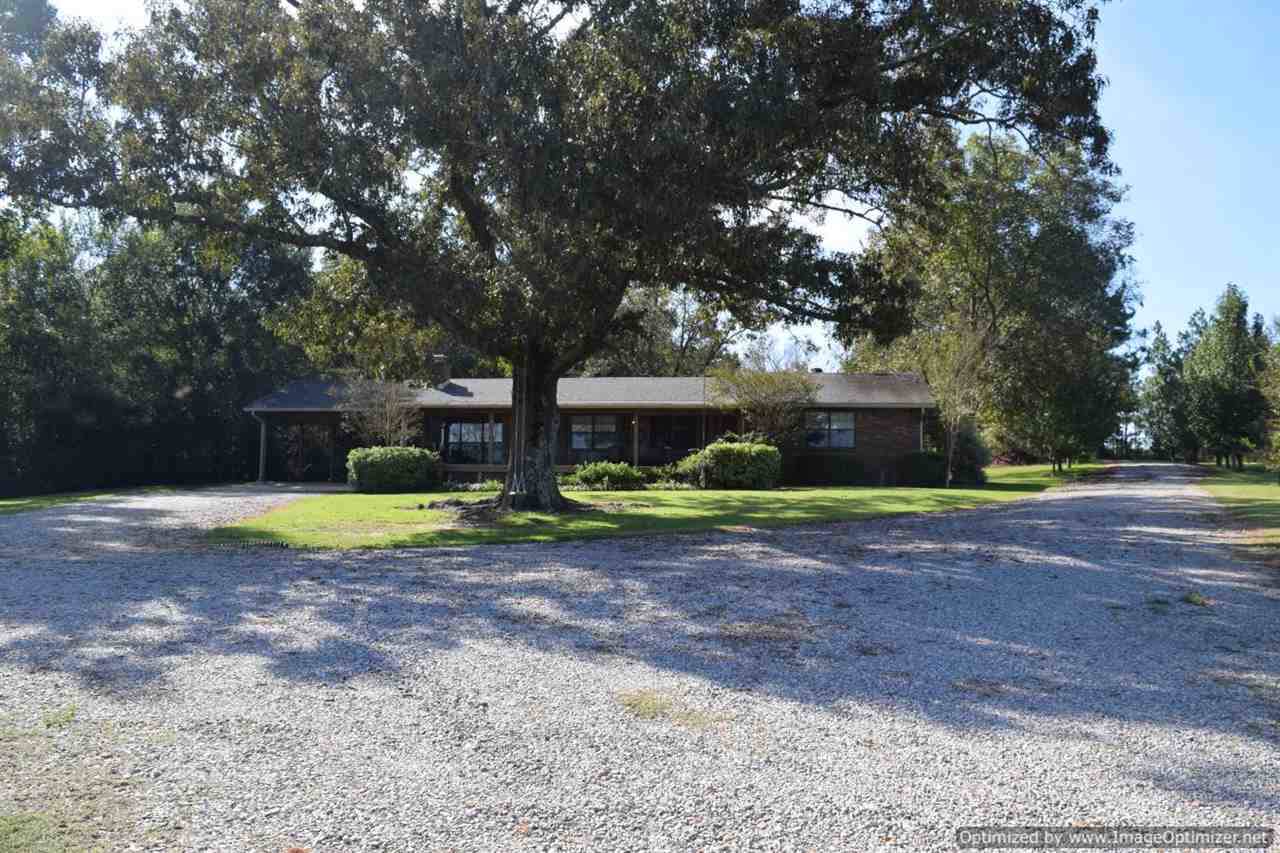 3481 New Ground Rd - Photo 1