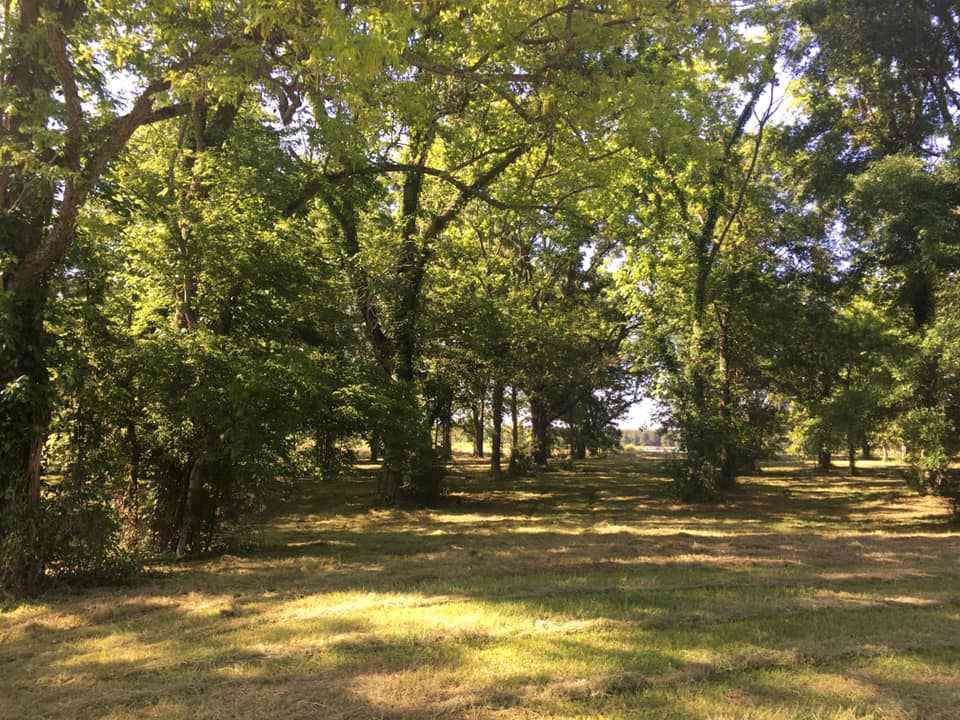 Lot 23 Sanctuary Cir - Photo 1