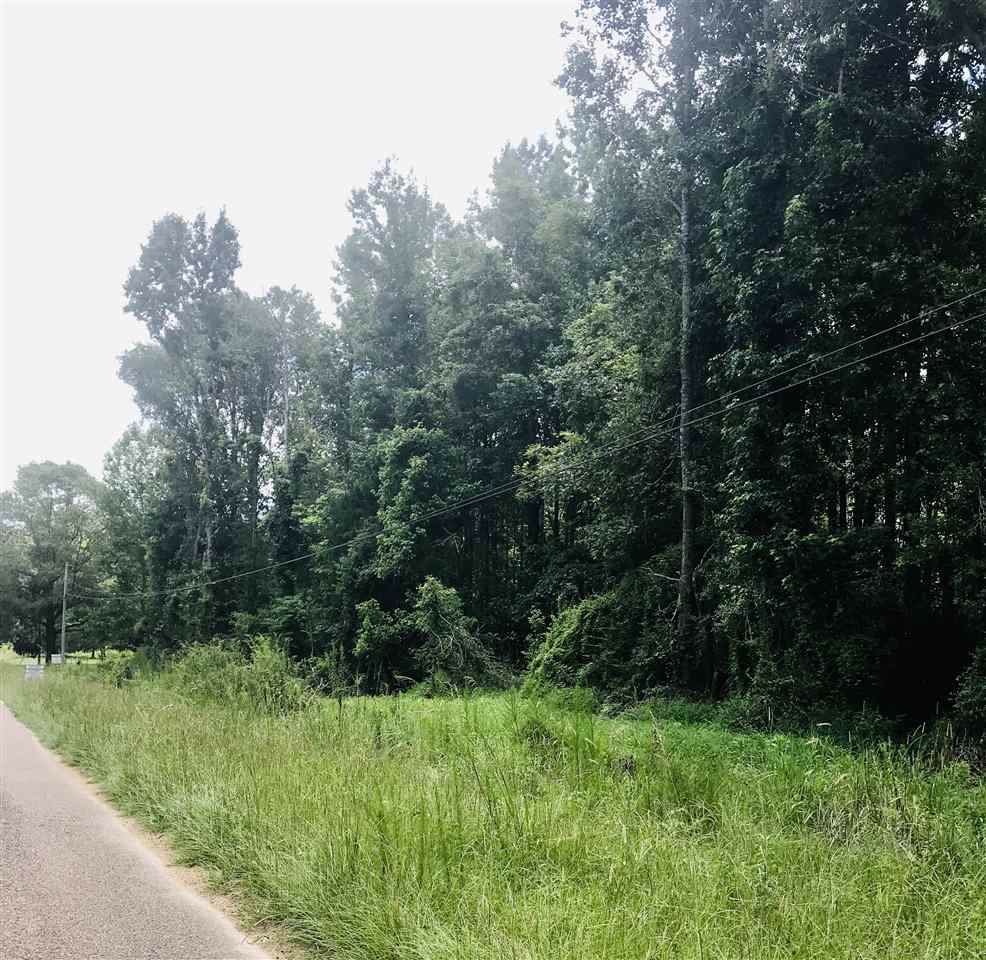 0 Holliday Rd - Photo 1