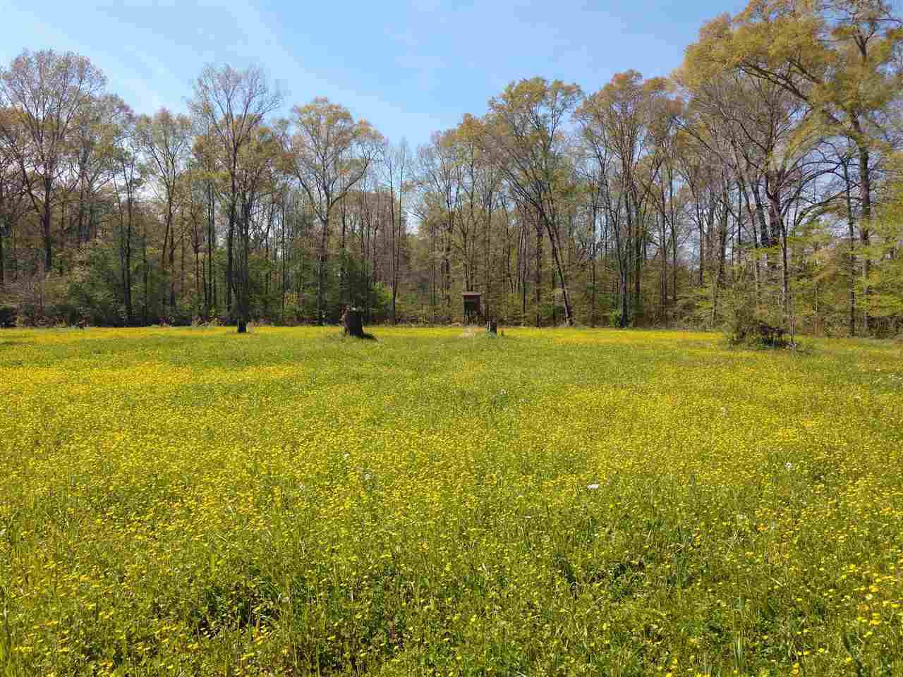 3618 Cannonsburg Rd - Photo 1