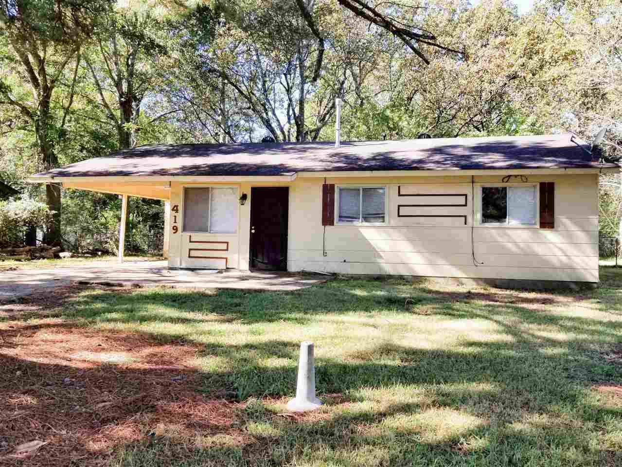 419 Queen Julianna Ln - Photo 1