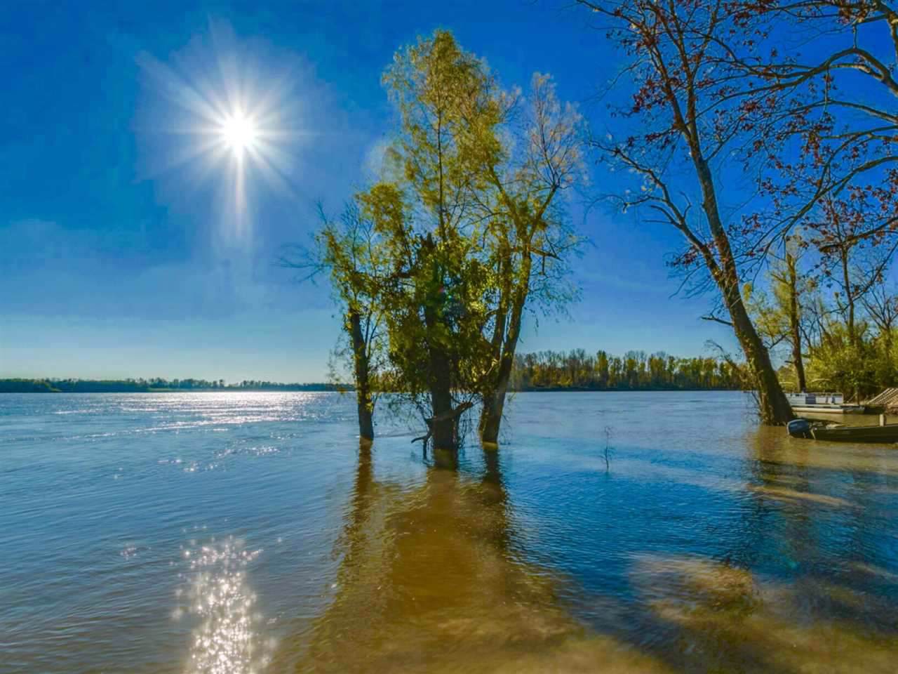 000 Davis Island - Photo 1