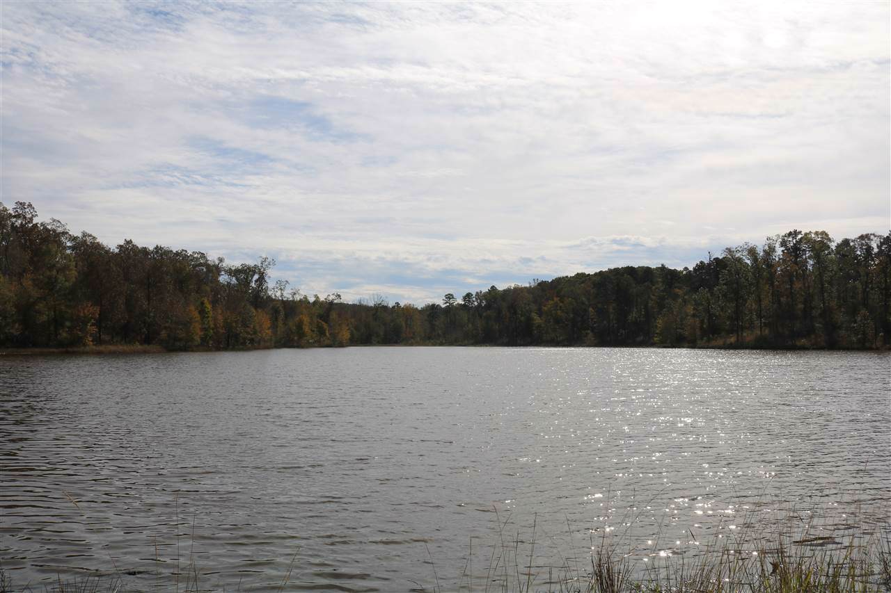 Highway 51 - Photo 1