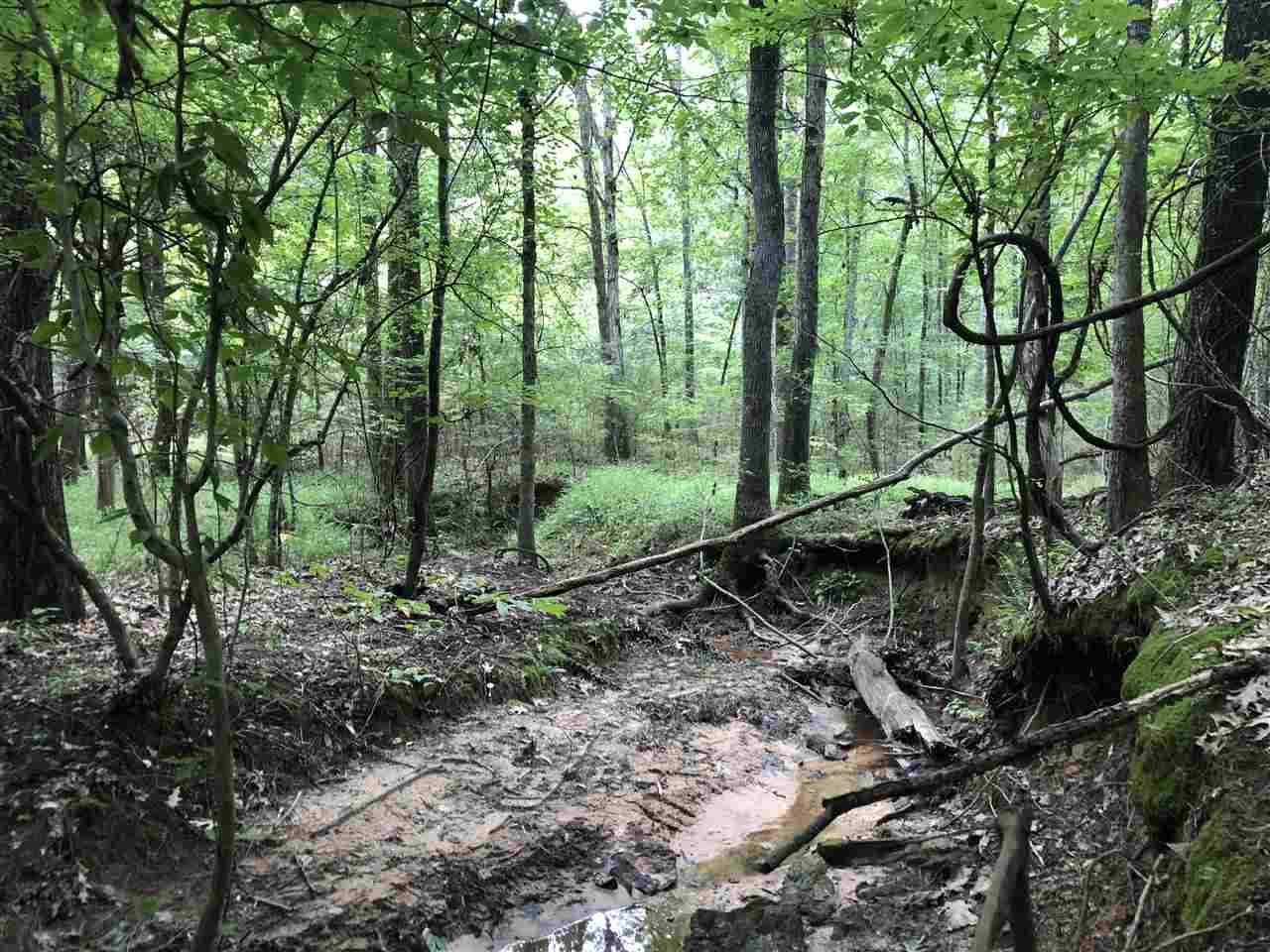 State Park Rd - Photo 1