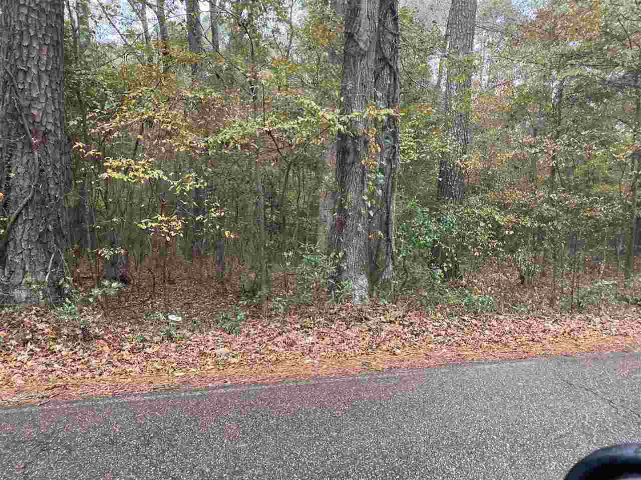 1169 A Old Jackson Rd Ext - Photo 1