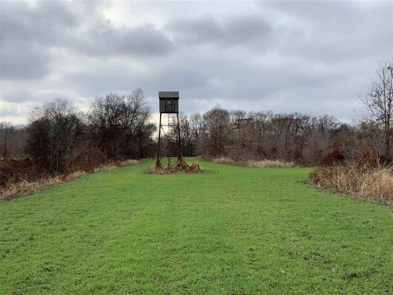01 Owl Hoot Road - Photo 1 01 Owl Hoot Road - Photo 1