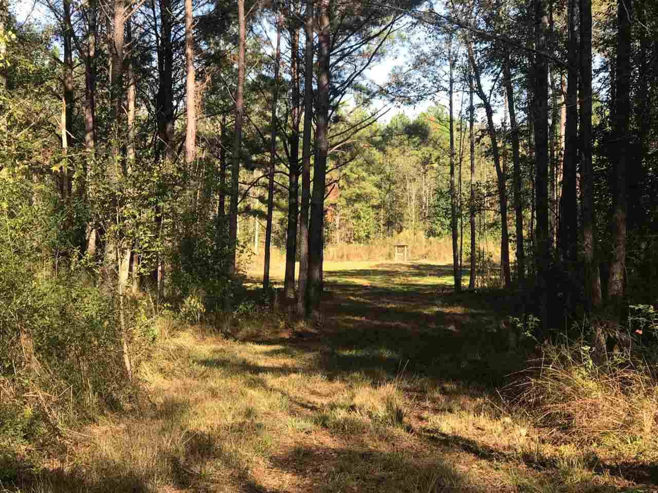 0000 Warren Hood Rd - Photo 1