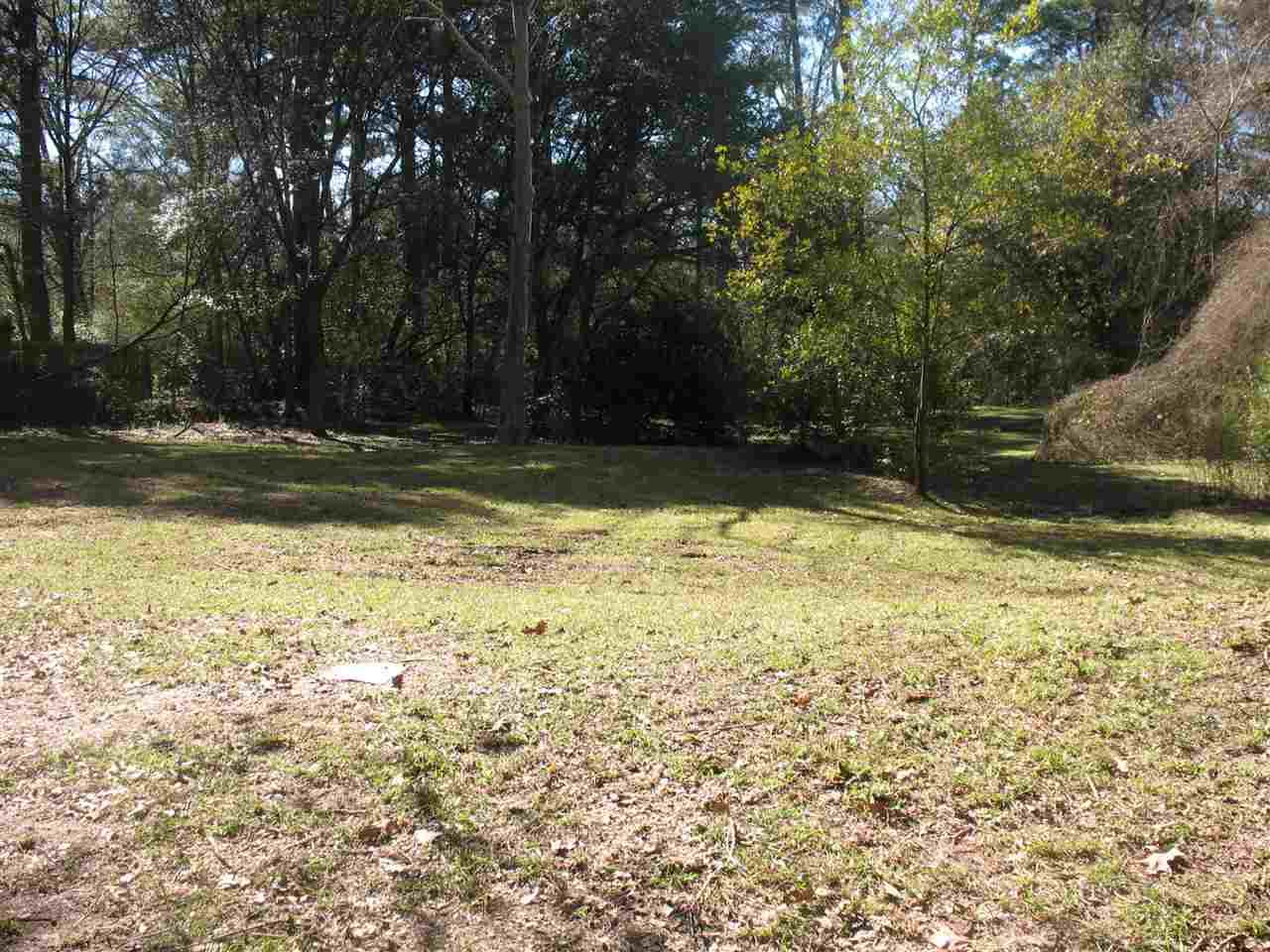 Manhassett Dr - Photo 1