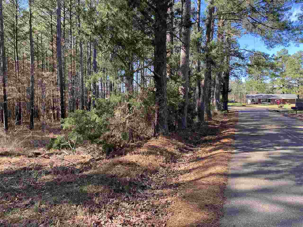 Springwater Ranch Rd - Photo 1