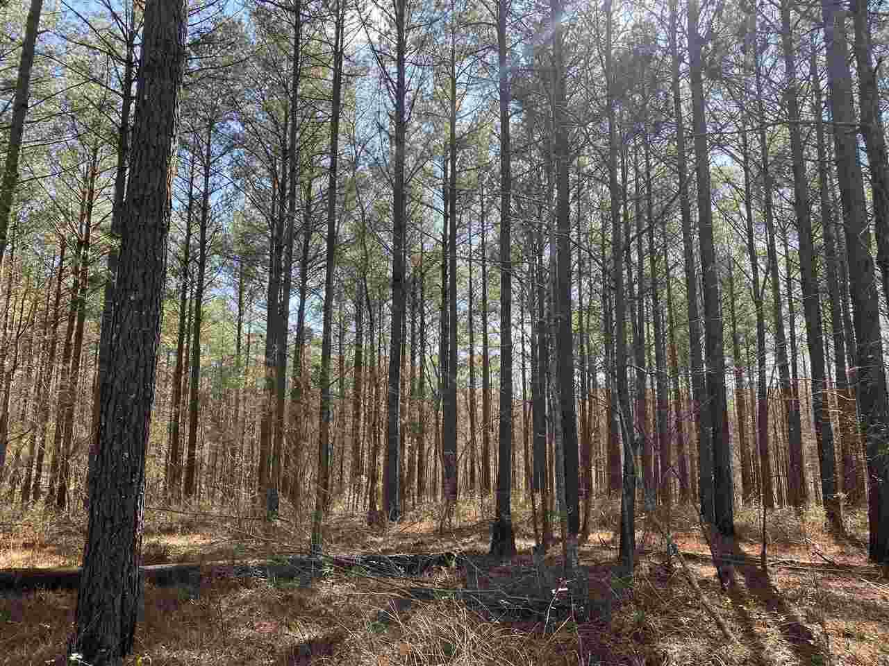 Springwater Ranch Rd - Photo 1