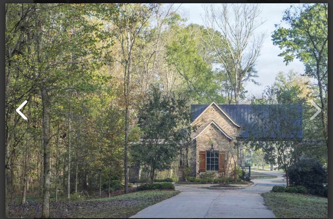 113 Herons Lane - Photo 1
