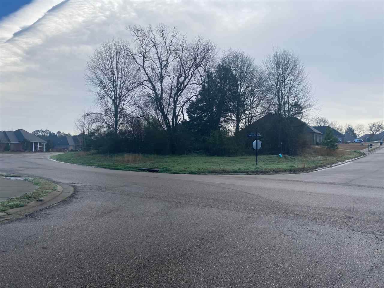 0 Stoney Ridge Rd - Photo 1