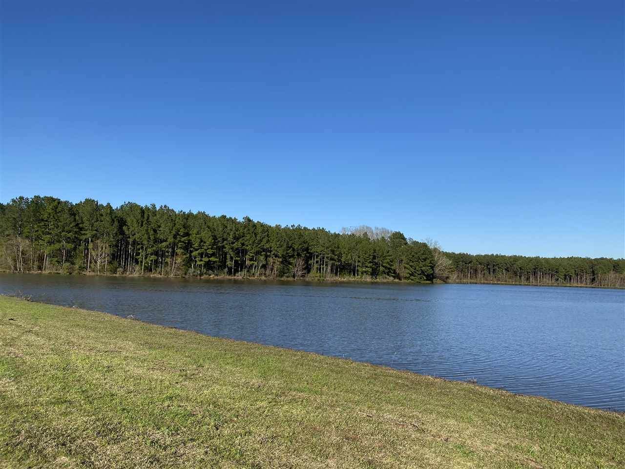 2168 Highway 22 Hwy - Photo 1
