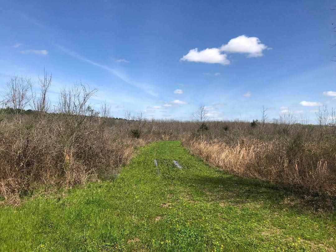 1172 Old Yazoo City Rd - Photo 1