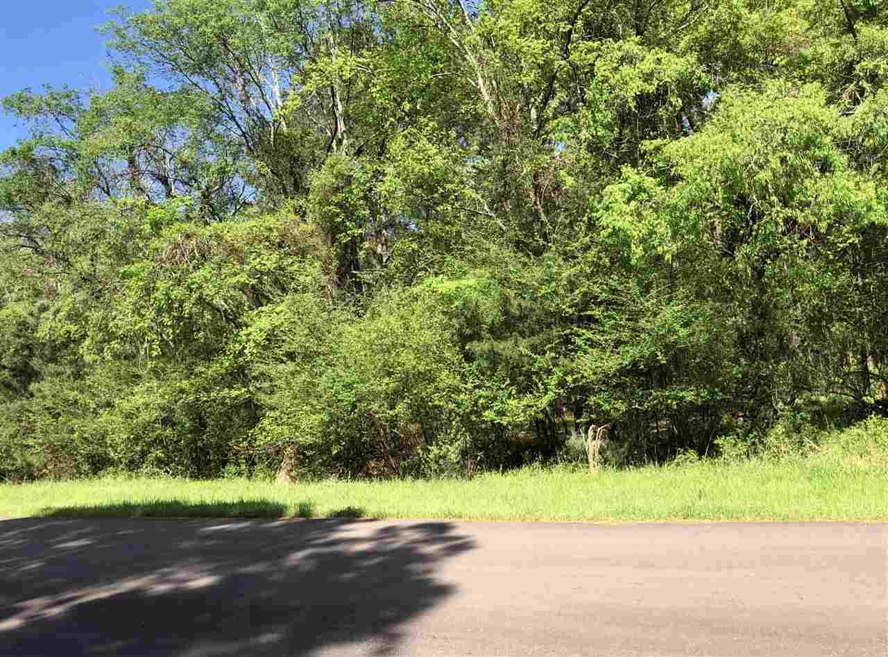 Johnstone Dr - Photo 1