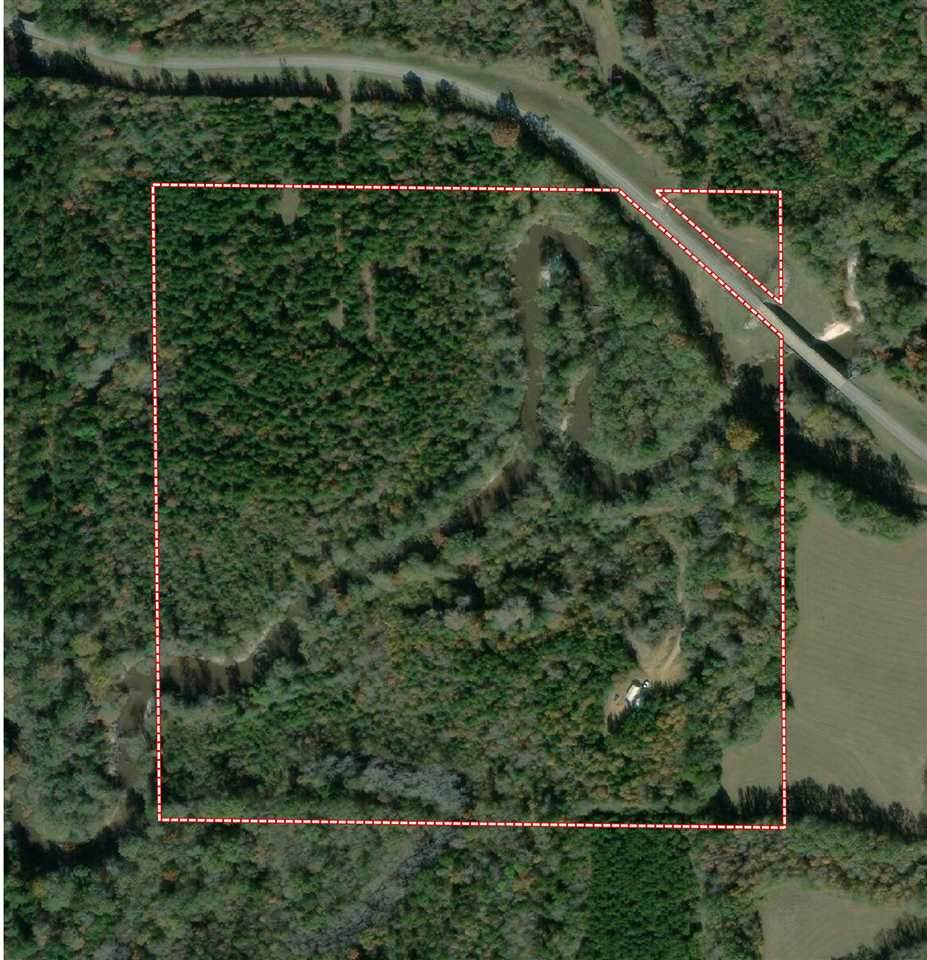 7646 County Rd 511 - Photo 1