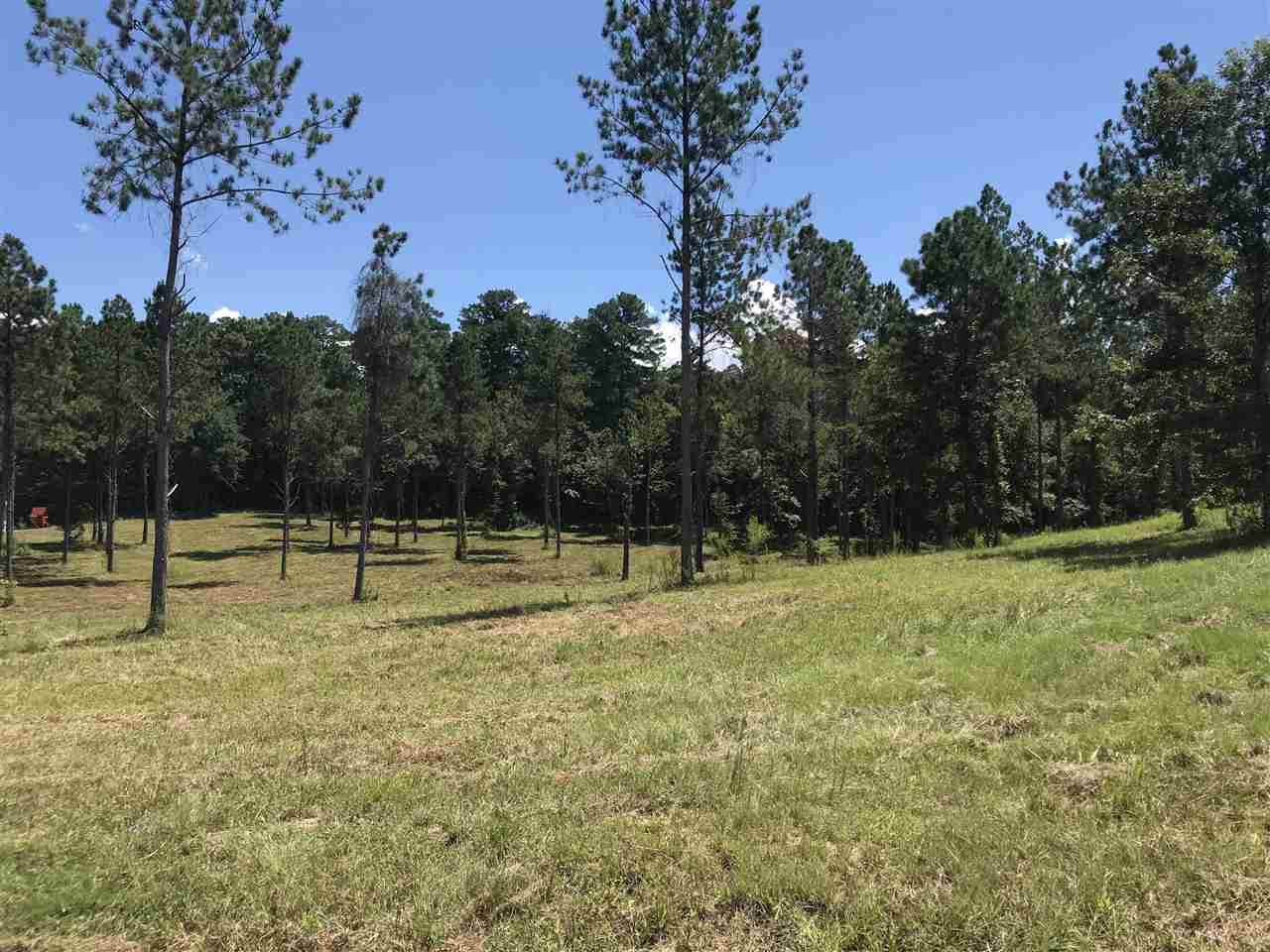 765 A & B Twelve Oaks Trace - Photo 1 765 A & B Twelve Oaks Trace - Photo 1