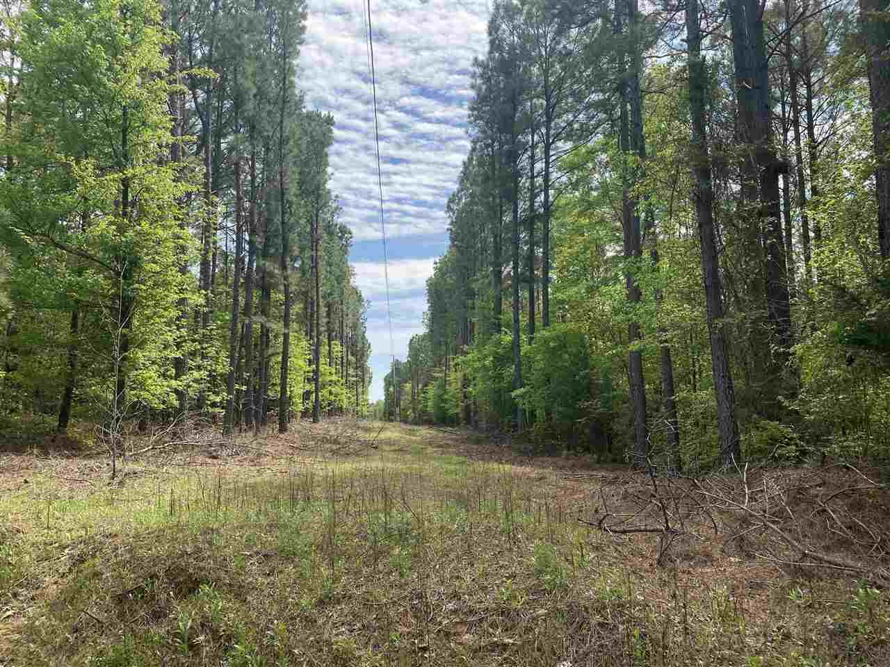 Cr 106 Rd - Photo 1 Cr 106 Rd - Photo 1