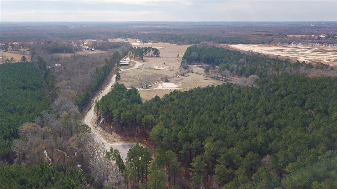 993 Holly Bush Rd - Photo 1