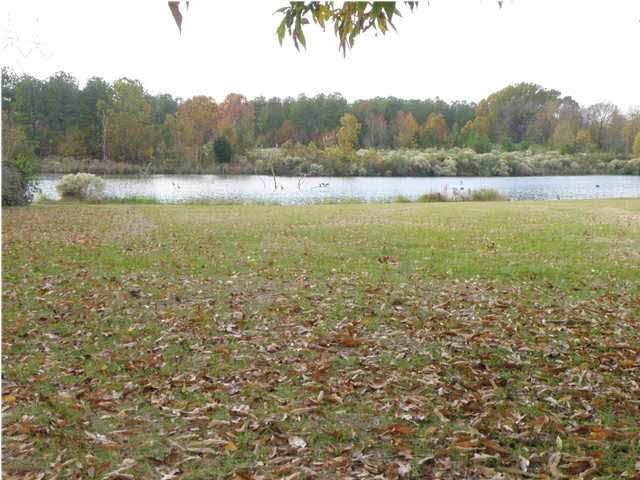 102 Northshore Pte - Photo 1