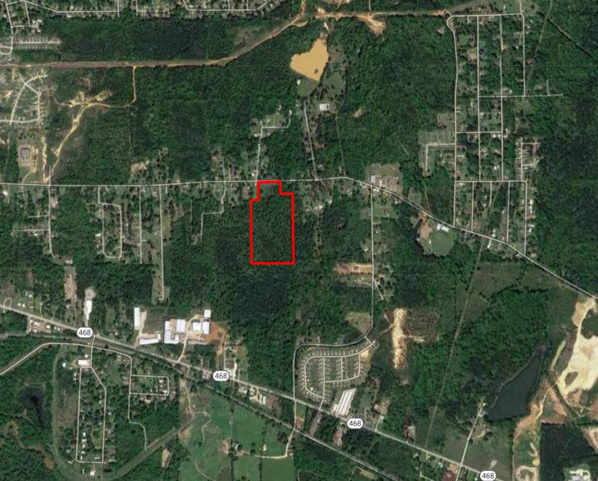 0 Old Whitfield Rd - Photo 1
