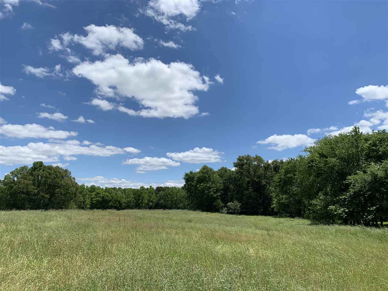1000 Hawkins Rd - Photo 1