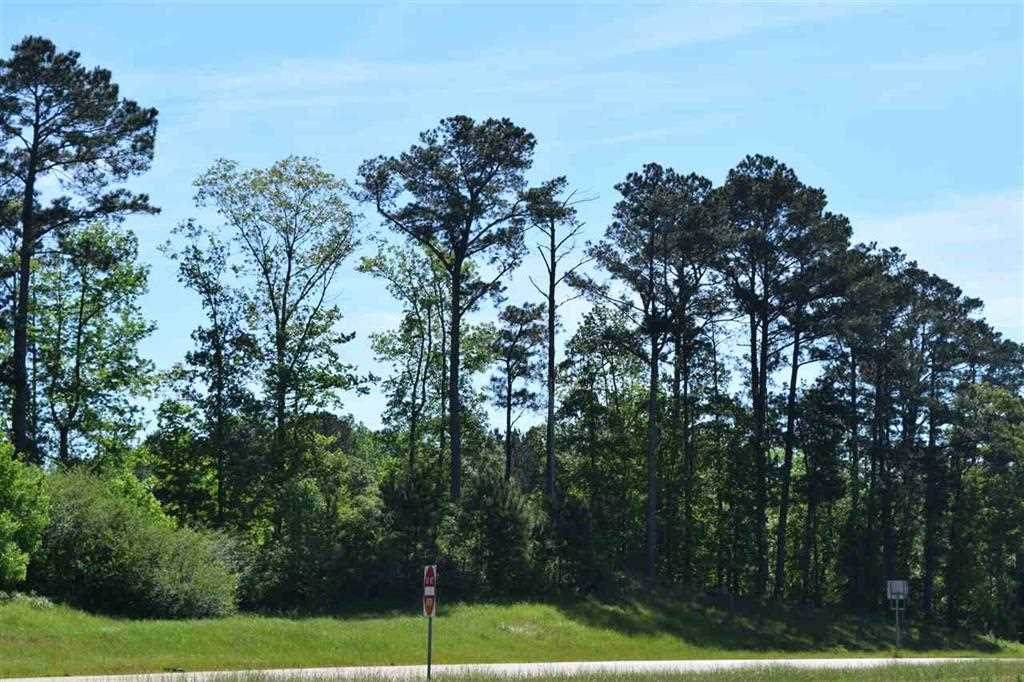 0 U S Highway 49 South - Photo 1