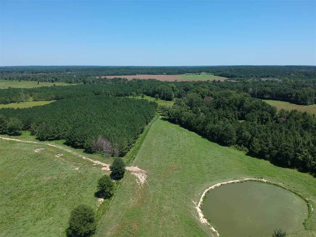 787 Hwy 487 Hwy - Photo 1