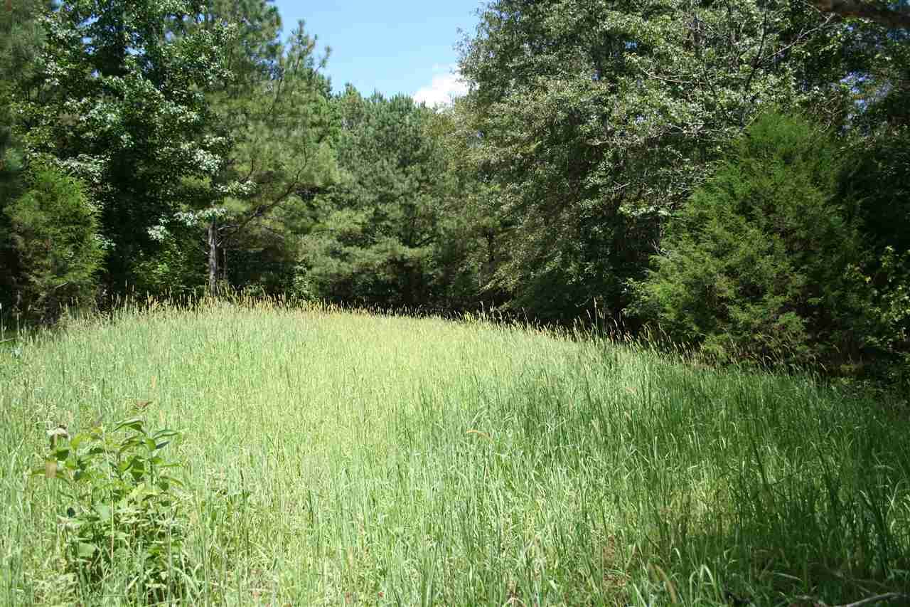 13704 Highway 432 - Photo 1