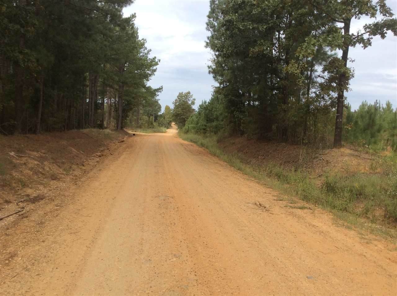 0 Mount Helm Rd - Photo 1