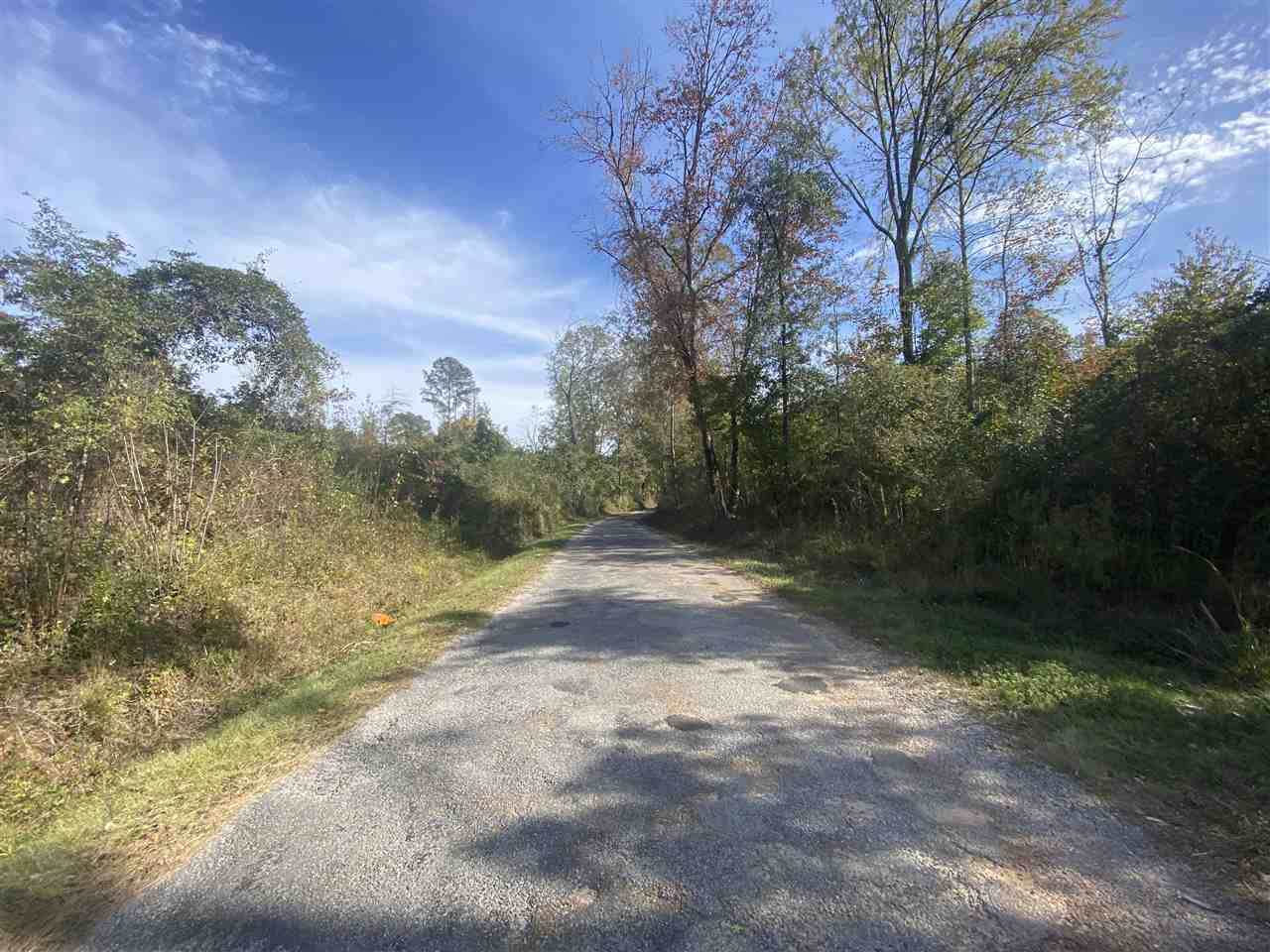 0 Mill Branch Rd - Photo 1
