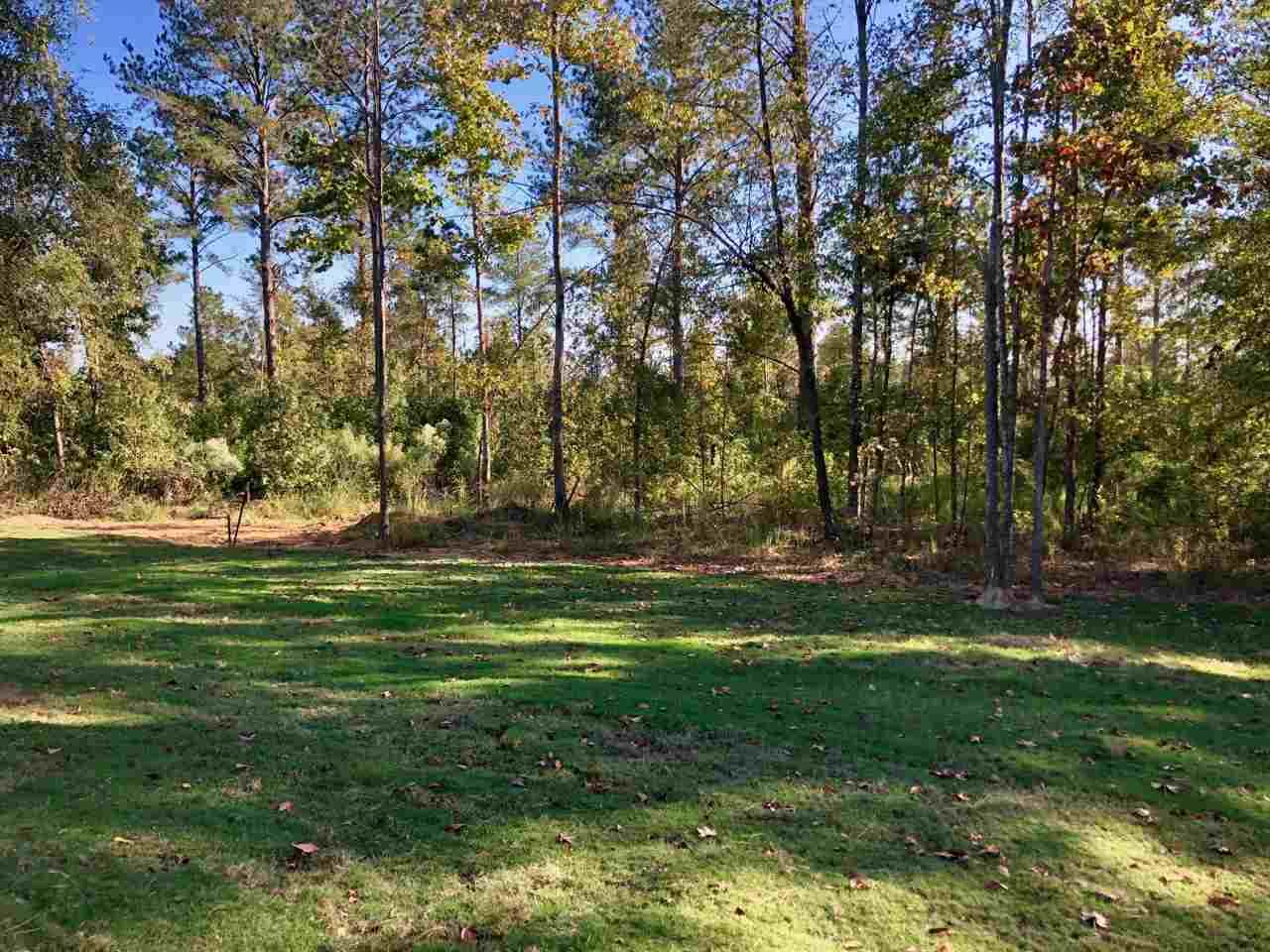115 St Croix Ln - Photo 1