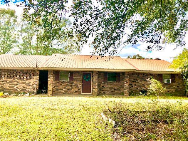 295 Dr Magee Rd - Photo 1