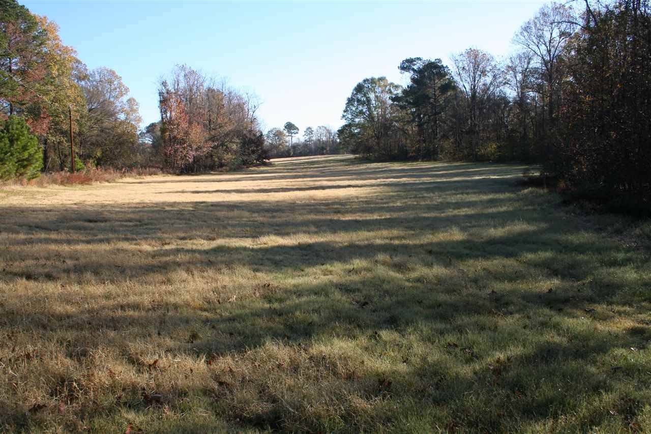 700 Sunny Lane Rd - Photo 1