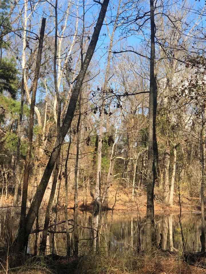 6234 Terry Rd - Photo 1