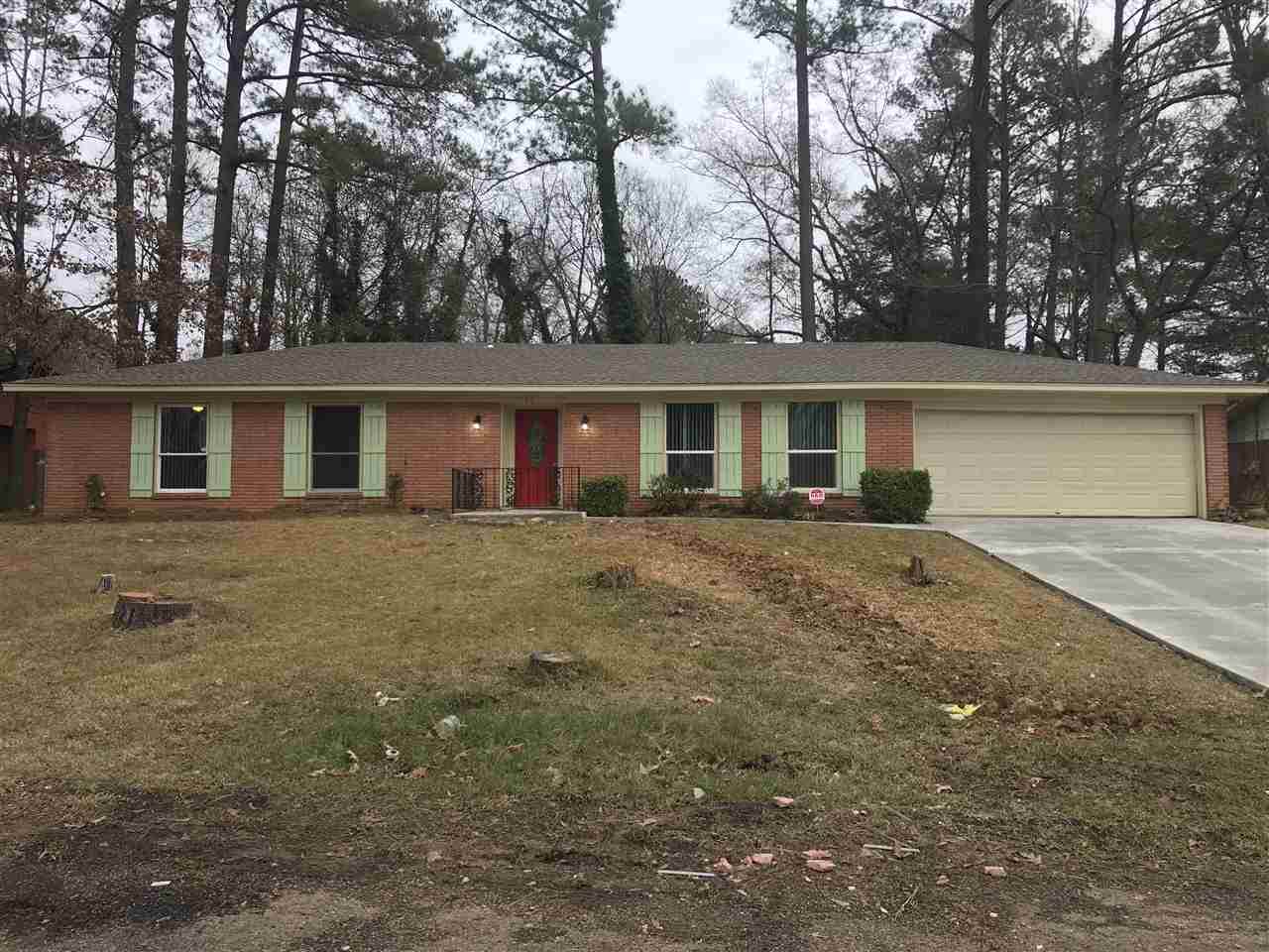 1732 South Haven Cir - Photo 1
