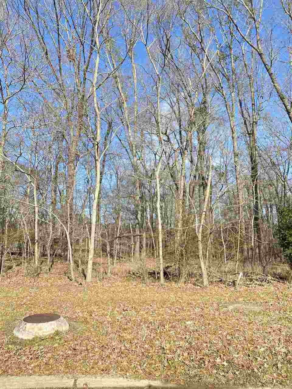 18 Bentwood Dr - Photo 1