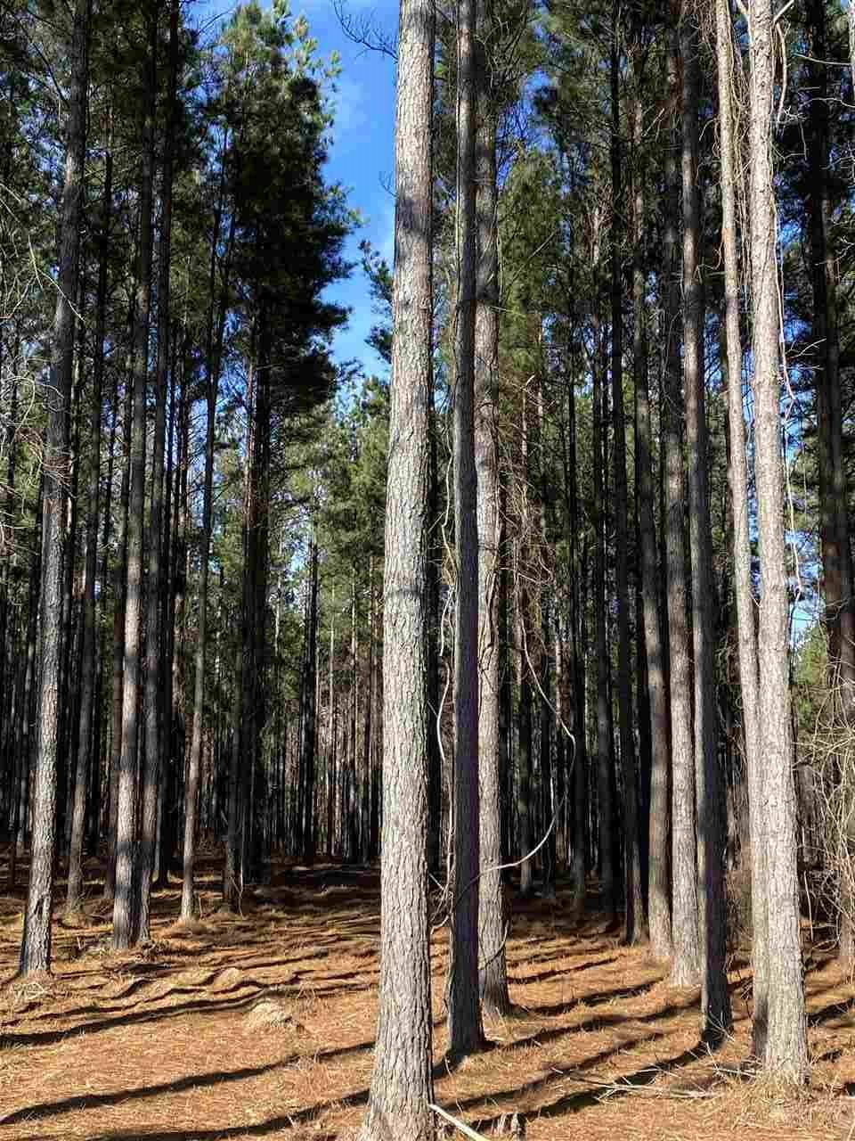 655 Stull Rd - Photo 1