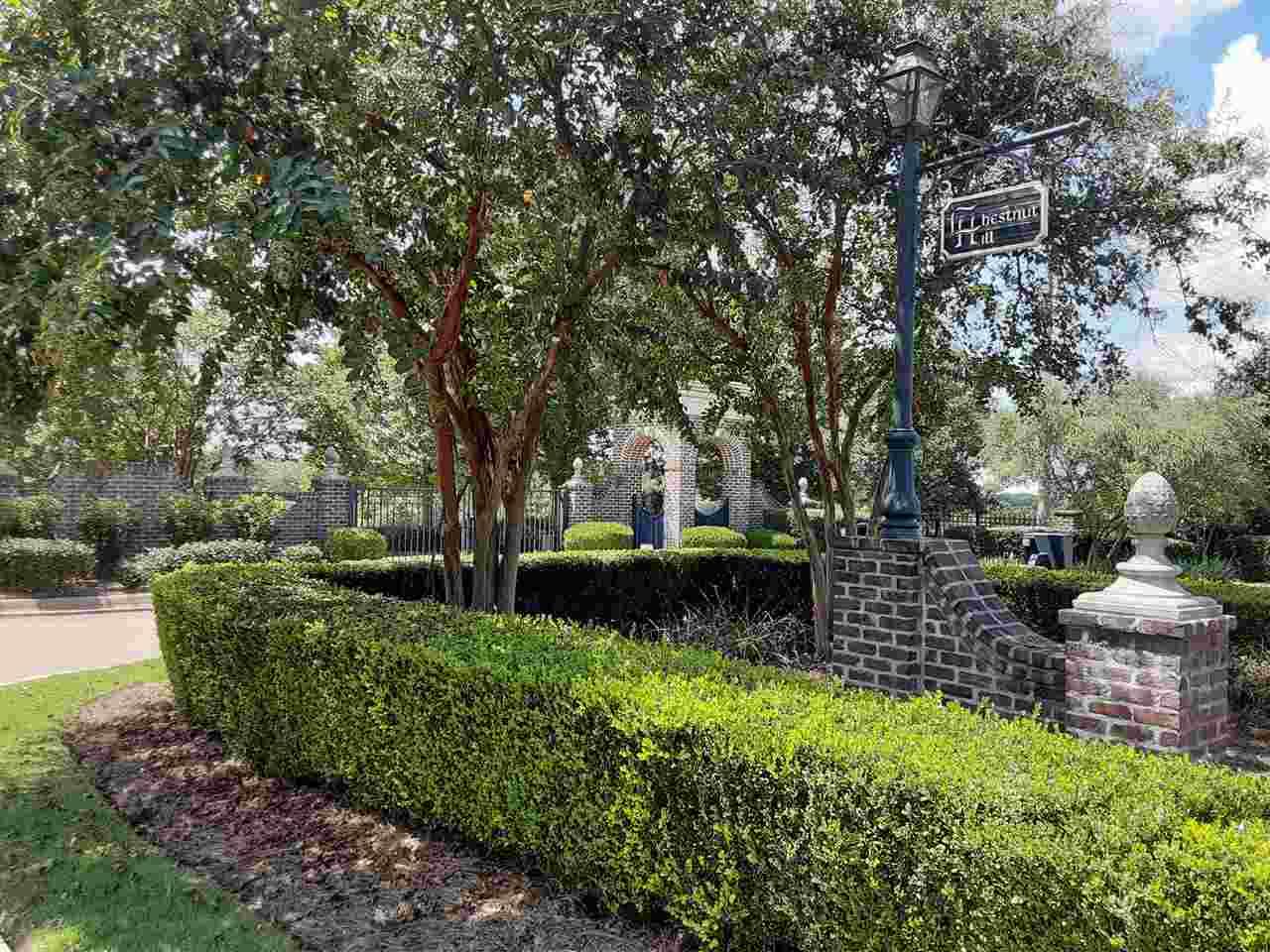 Lot# 84 Chestnut Spring Rd - Photo 1