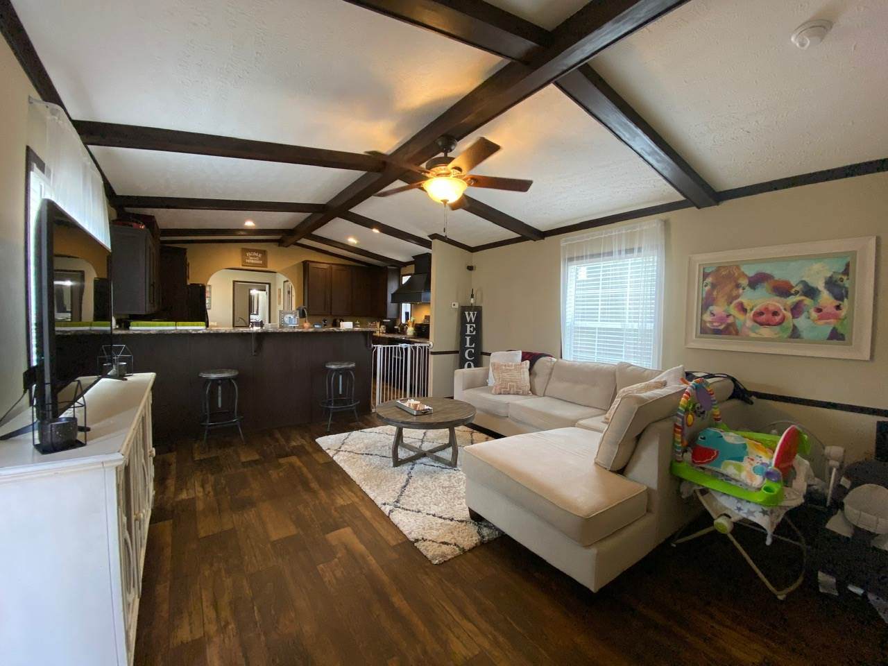 843 Star Braxton Rd - Photo 1
