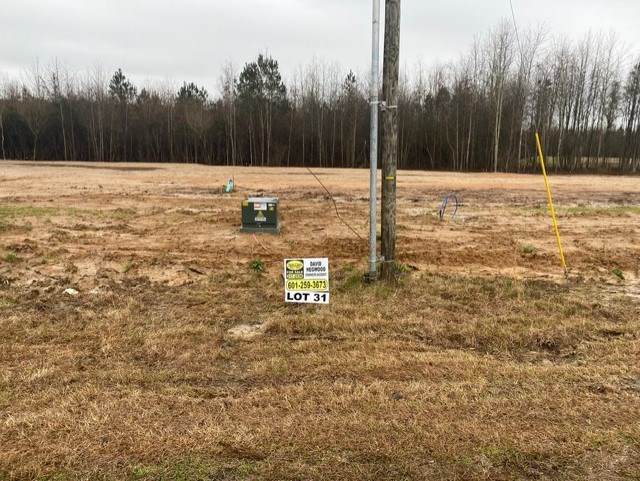 Kennedy Farms Parkway - Photo 1
