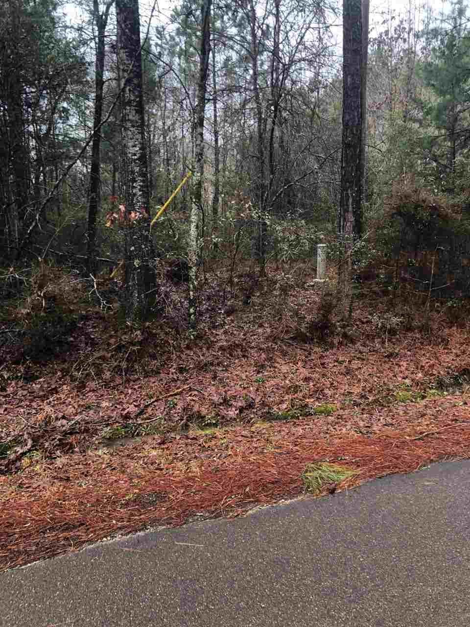 0 Alford Rd - Photo 1