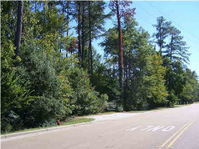 0 Highland Colony Parkway - Photo 1