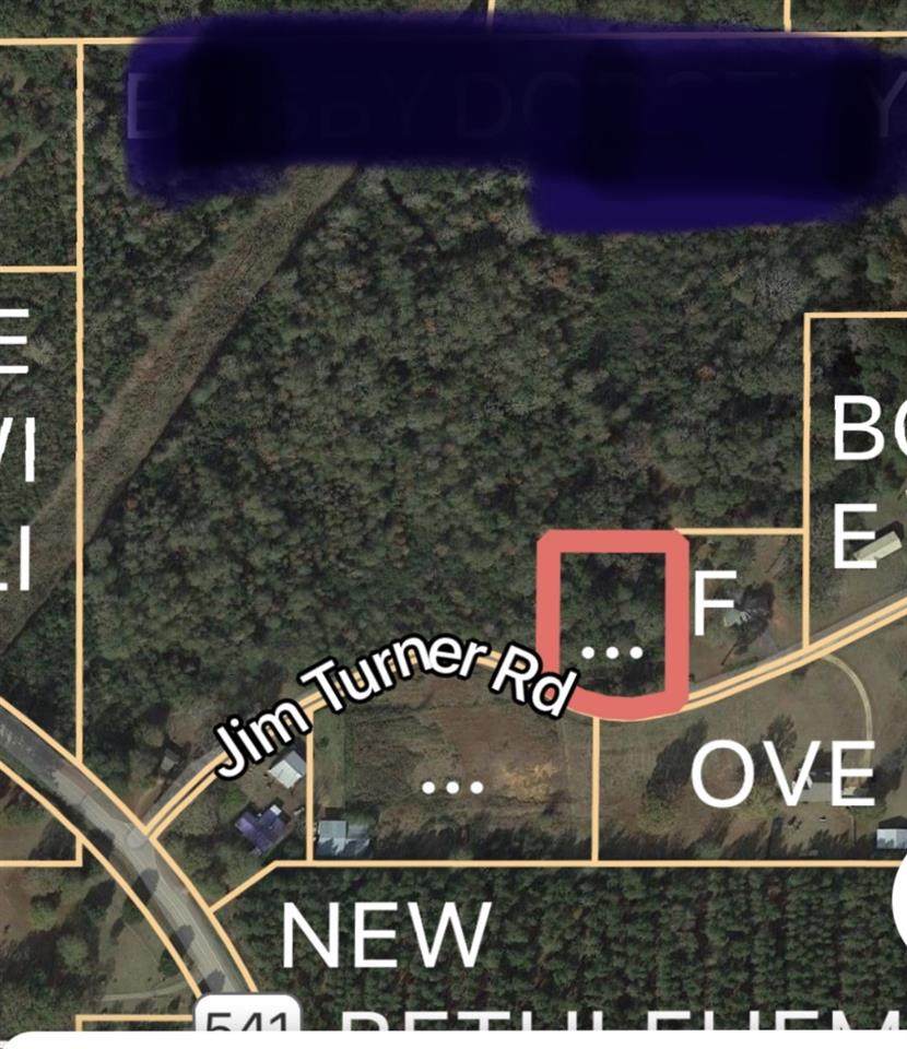 000 Jim Turner Rd - Photo 1