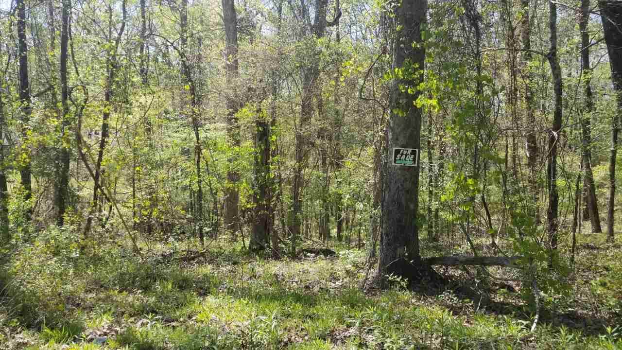 000 Pine Ridge Rd - Photo 1