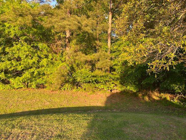 001 Mcdonald Ln - Photo 1