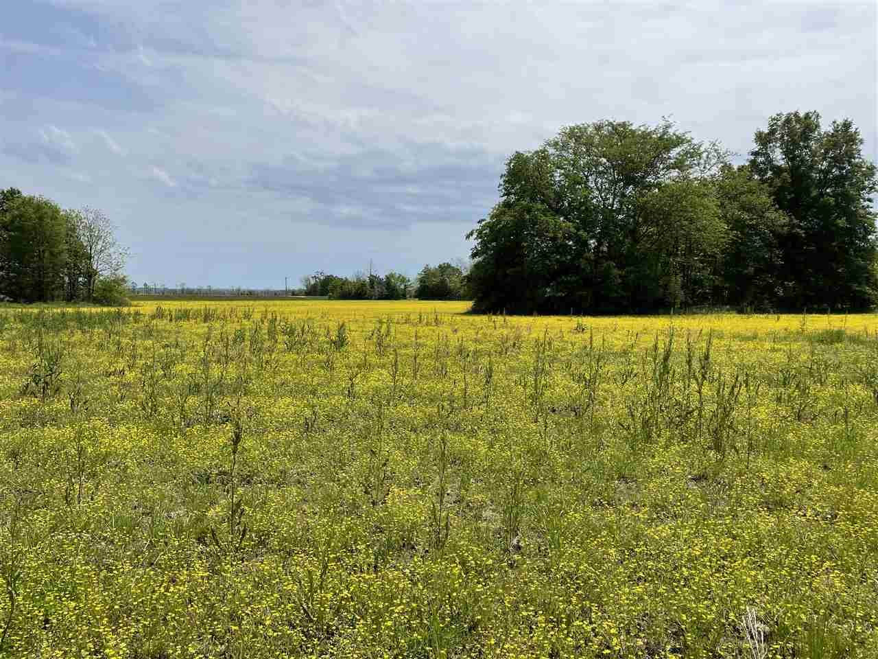Hwy 49 - Photo 1