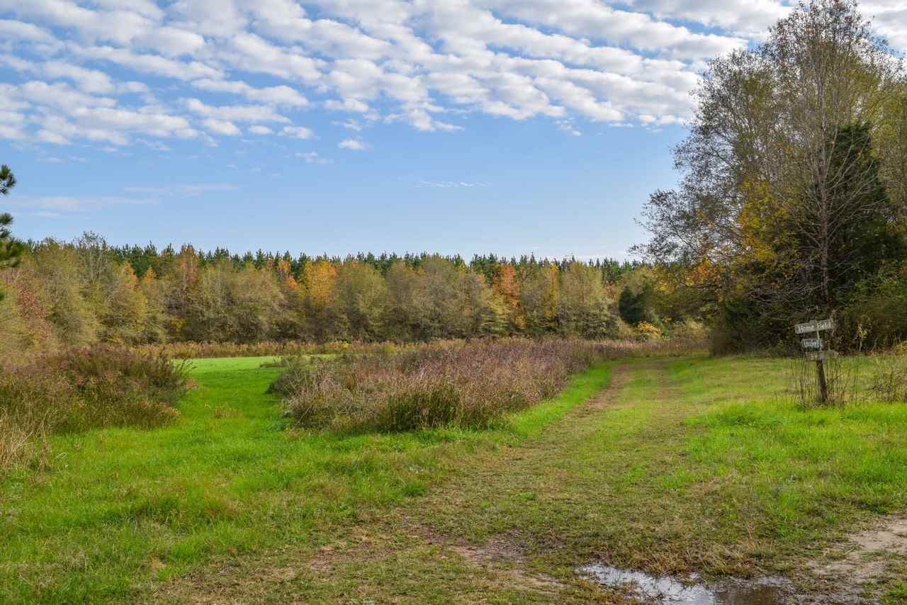 3339 Hwy 17 - Photo 1