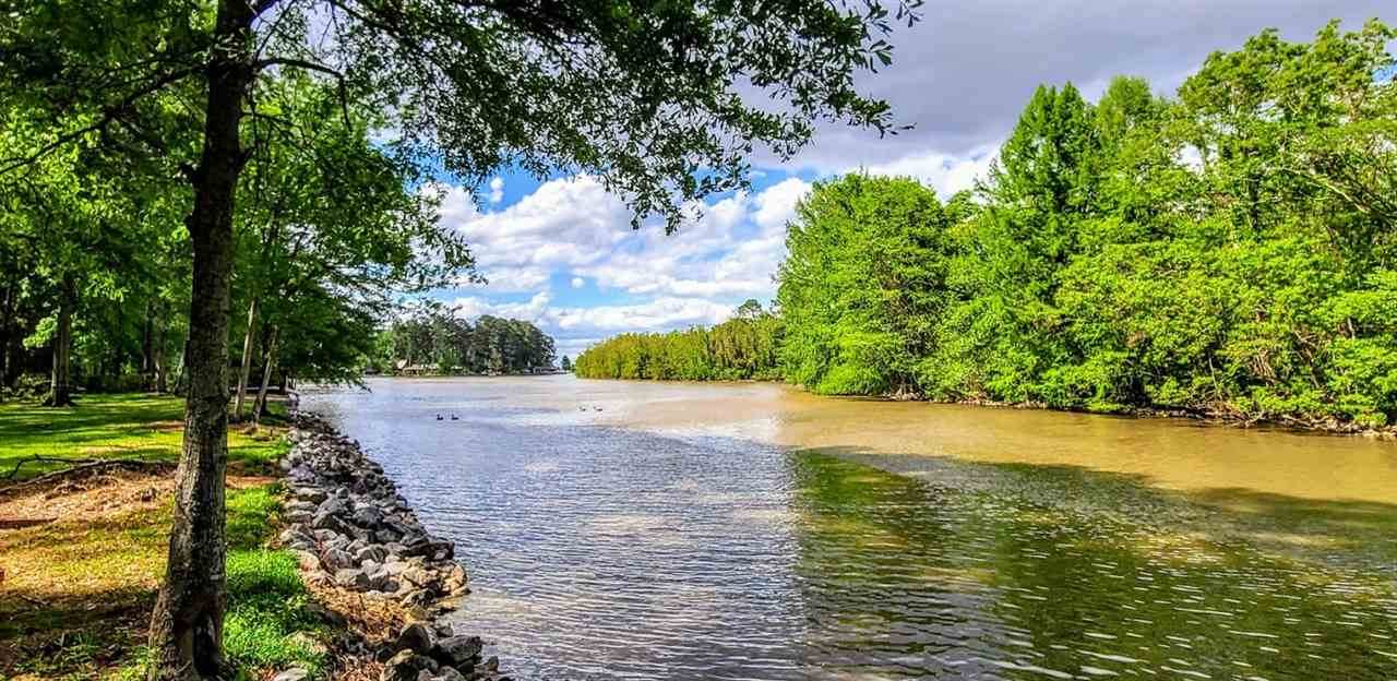 400 Forest Point Dr - Photo 1