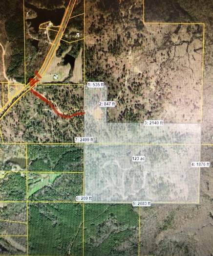 10541 Hwy 21 - Photo 1